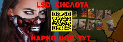 индика Можга