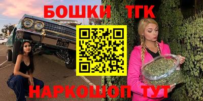 индика Можга