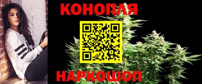 индика Можга
