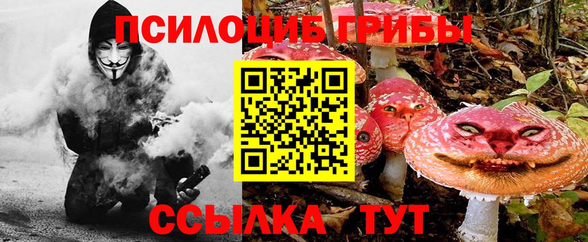 Галлюциногенные грибы мухоморы  Вход с VPN  наркотики  Балашиха 