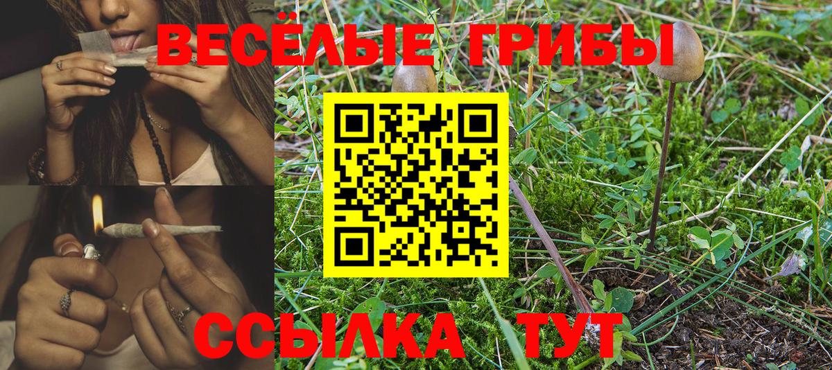 Псилоцибиновые грибы Magic Shrooms Балашиха